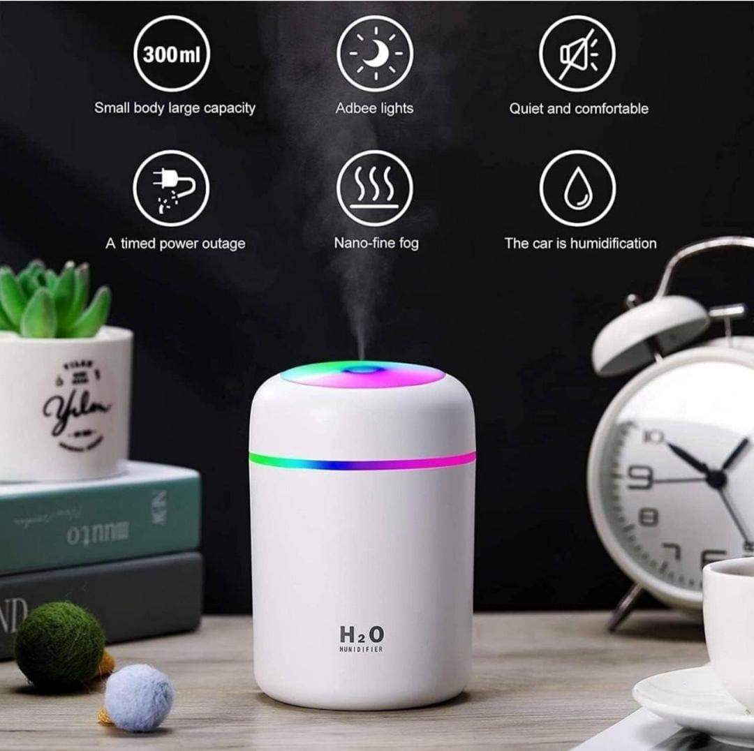 H2O Humidifier